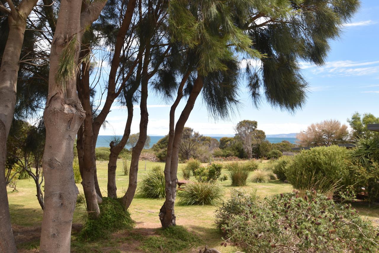 הוילה קולאס ביי Freycinet Sanctuary @ Oyster Bay מראה חיצוני תמונה